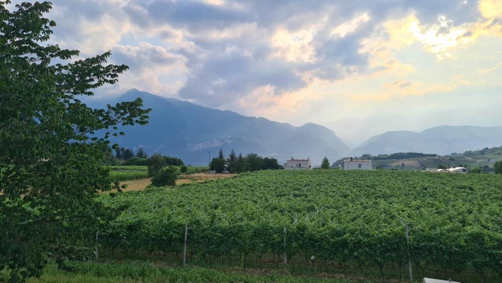 Appartamenti Moderni, Luminosi E Tranquilli Con Parcheggio Privato - Agritur La Tenuta 트렌토 외부 사진