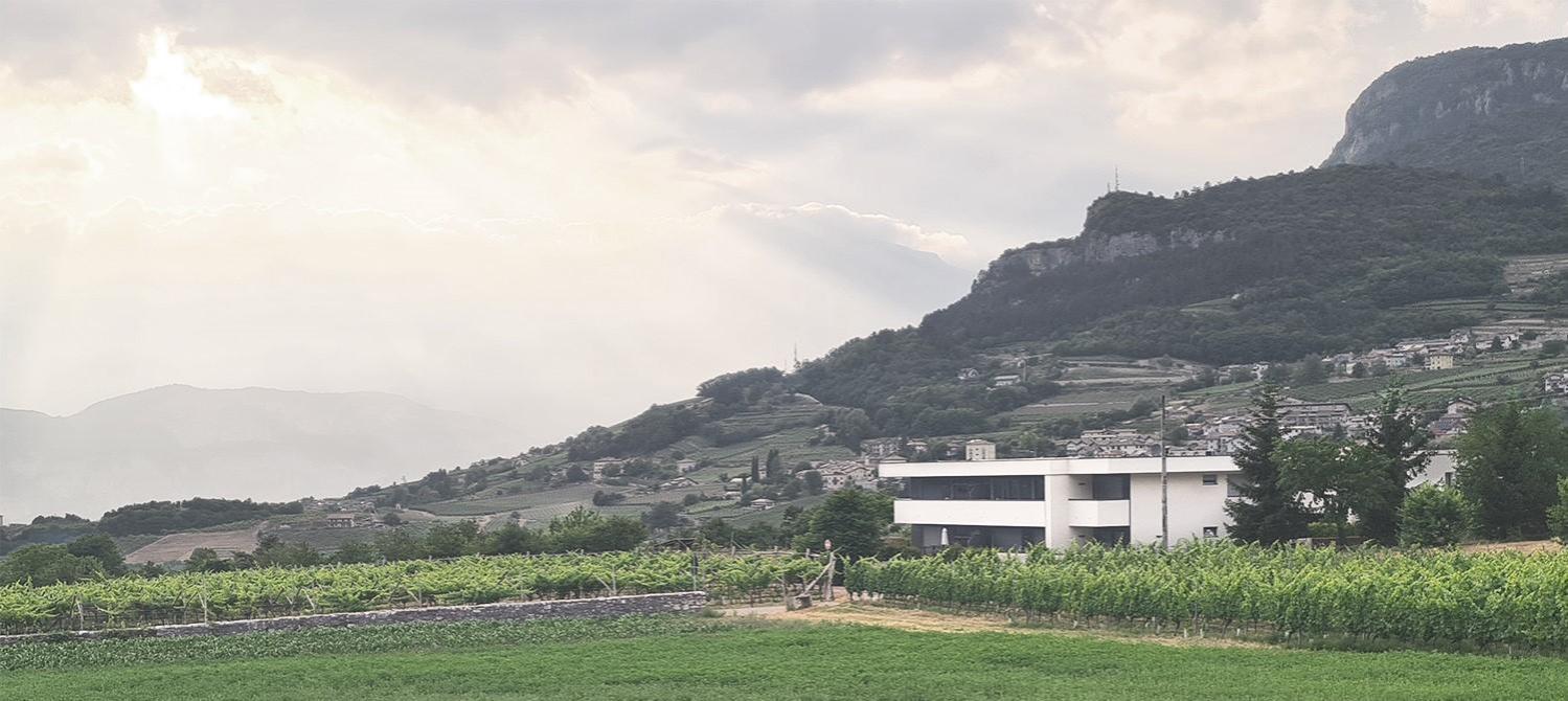 Appartamenti Moderni, Luminosi E Tranquilli Con Parcheggio Privato - Agritur La Tenuta 트렌토 외부 사진