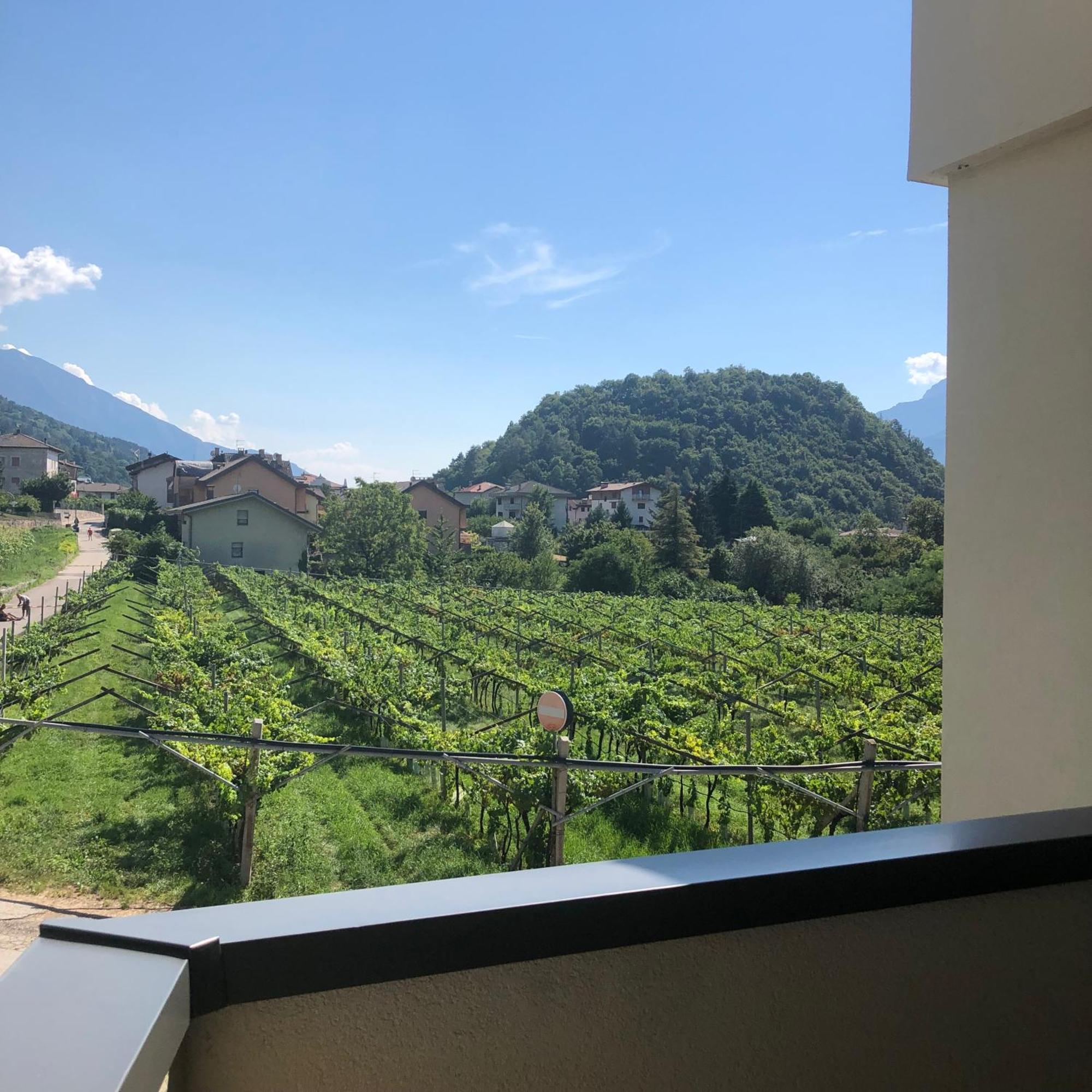 Appartamenti Moderni, Luminosi E Tranquilli Con Parcheggio Privato - Agritur La Tenuta 트렌토 외부 사진