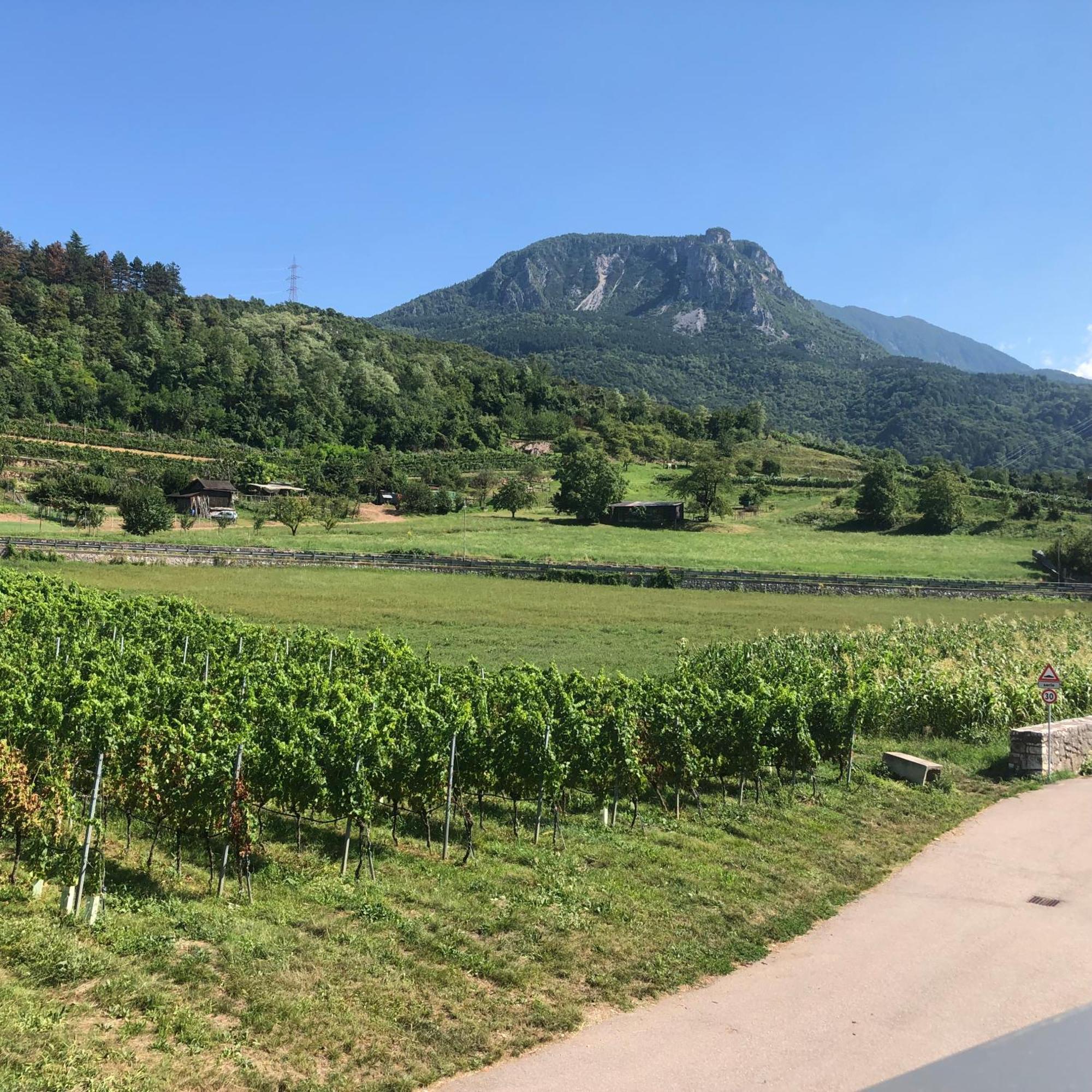 Appartamenti Moderni, Luminosi E Tranquilli Con Parcheggio Privato - Agritur La Tenuta 트렌토 외부 사진
